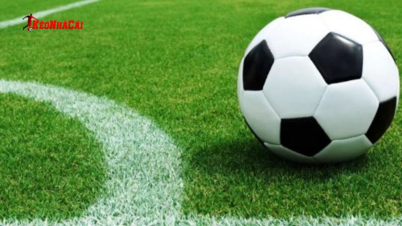 Cách chơi kèo chấp 0.5/1