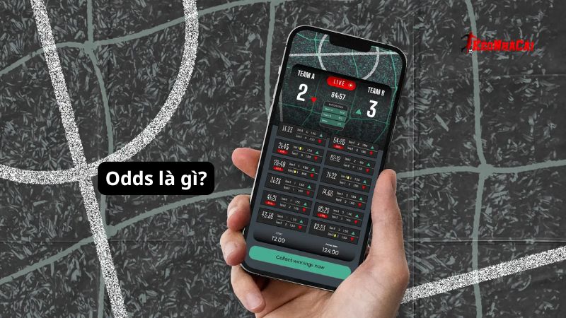 Bạn đã hiểu được thuật ngữ Odds là gì hay chưa?