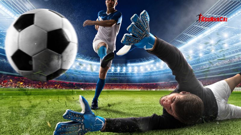 Giữ tâm lý ổn định để có những nghiên cứu chính xác