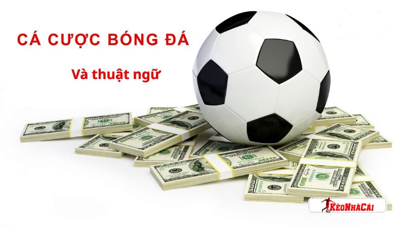 Tham gia cá độ cần nắm rõ thuật ngữ đi kèm